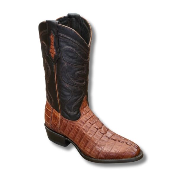 Bota de Cocodrilo Oval Originales - Imagen 7