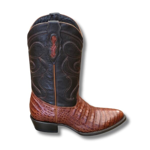 Bota de Cocodrilo Oval Originales - Imagen 2